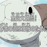 gogo anime one piece dub 269