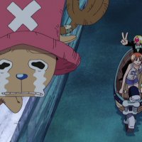 https://animeflvnet one piece 205