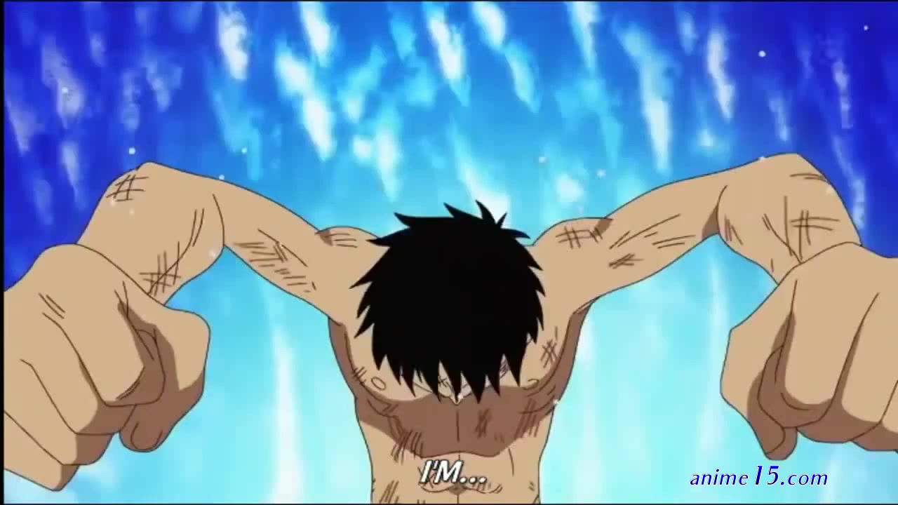 one piece 440