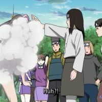 naruto shippuden 396 online sub
