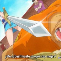 https://animeflvnet one piece 205