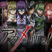 akame ga kill animefl