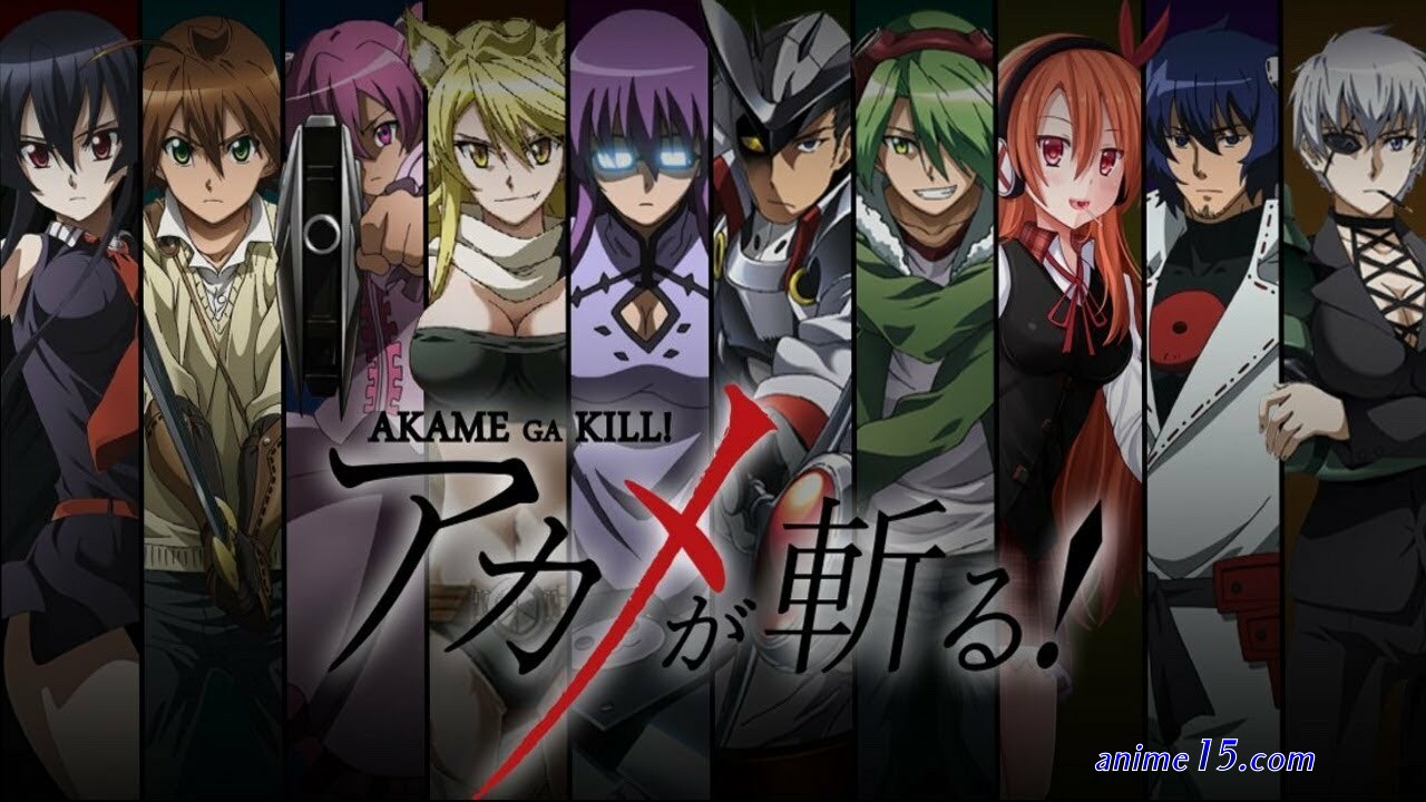 akame ga kill animefl