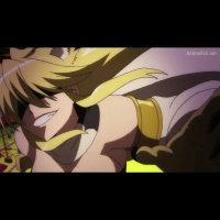 akame ga kill animefl