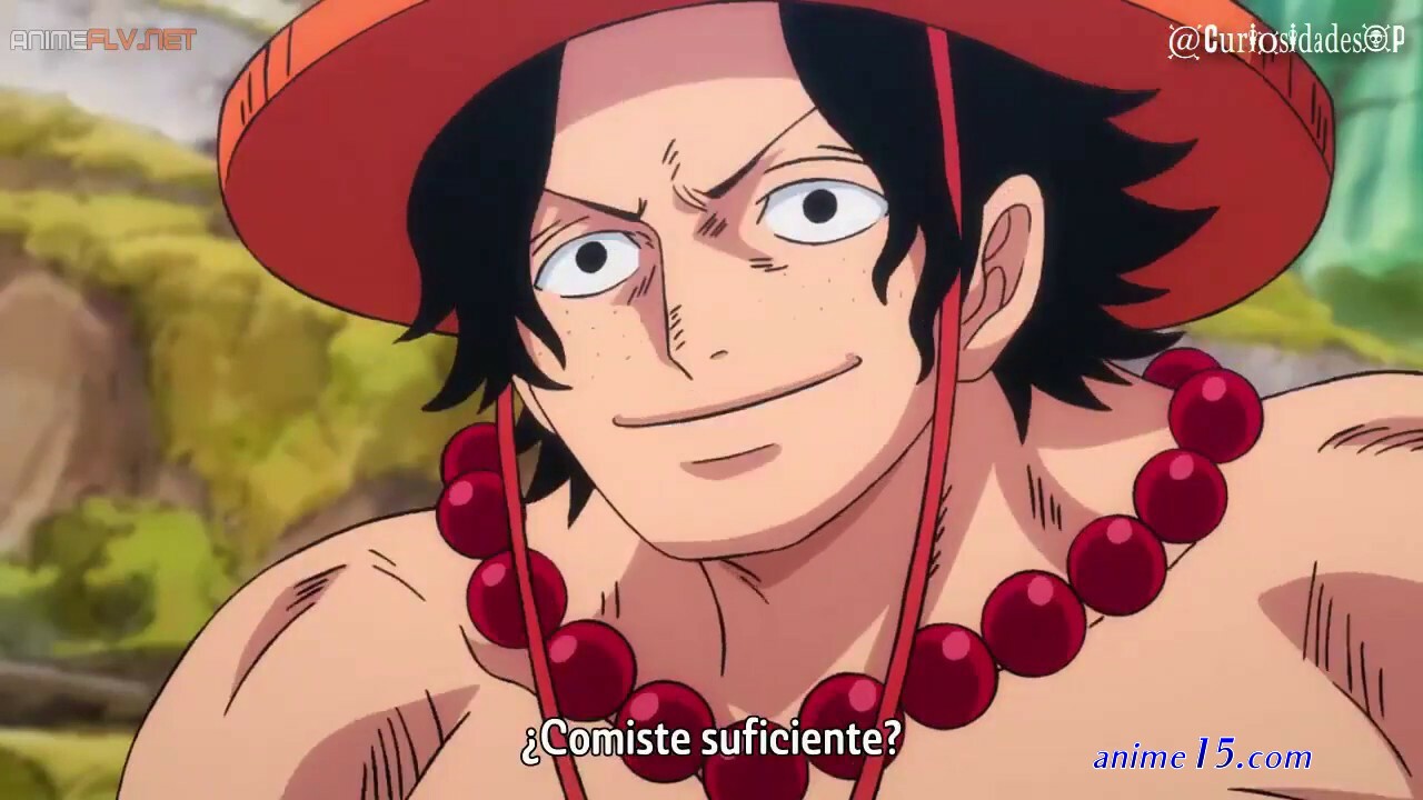 https://animeflvnet one piece 205