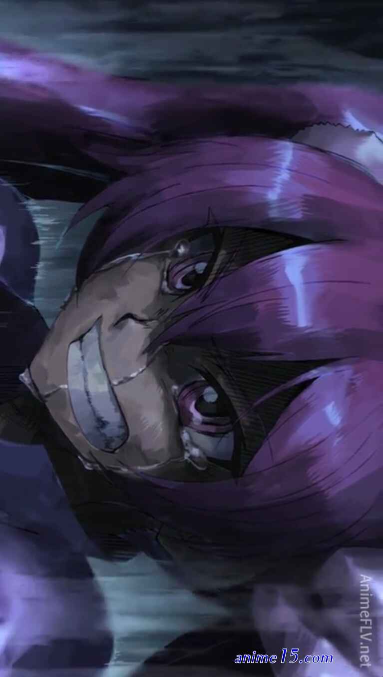 akame ga kill animefl