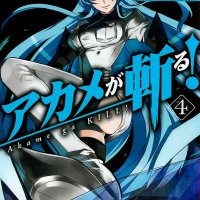 akame ga kill animefl
