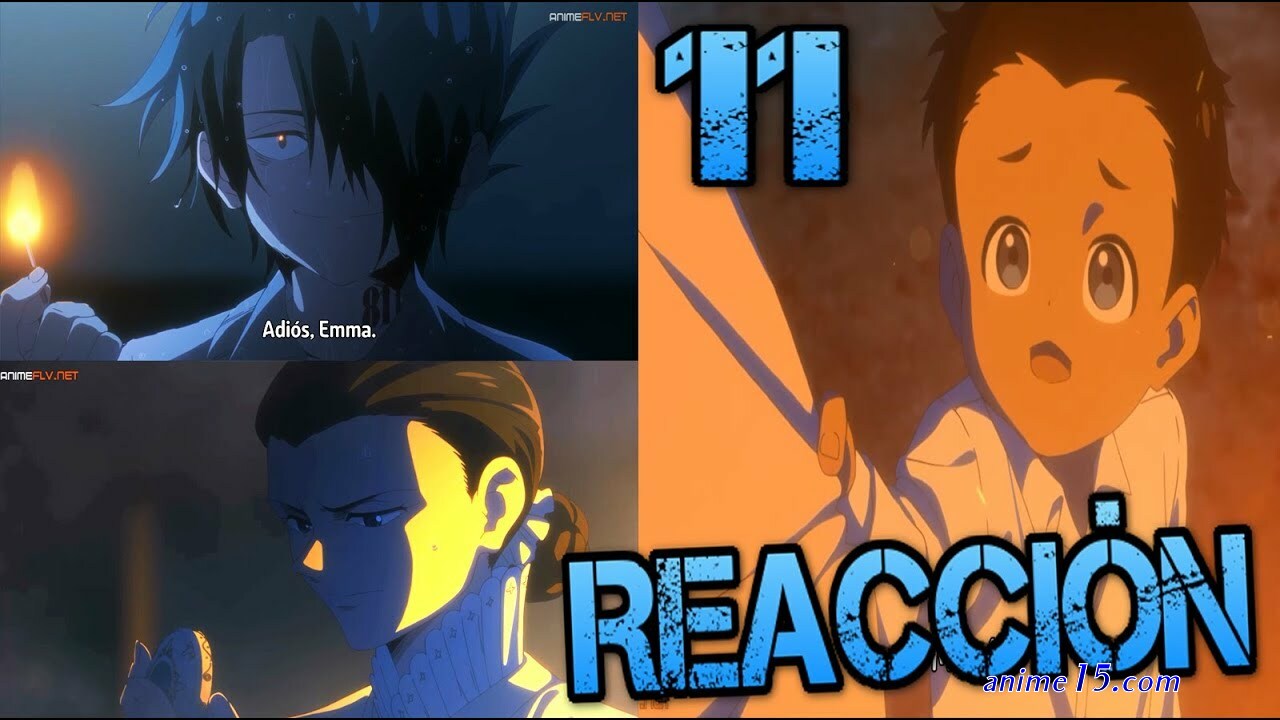 https://animeflvnet one piece 205