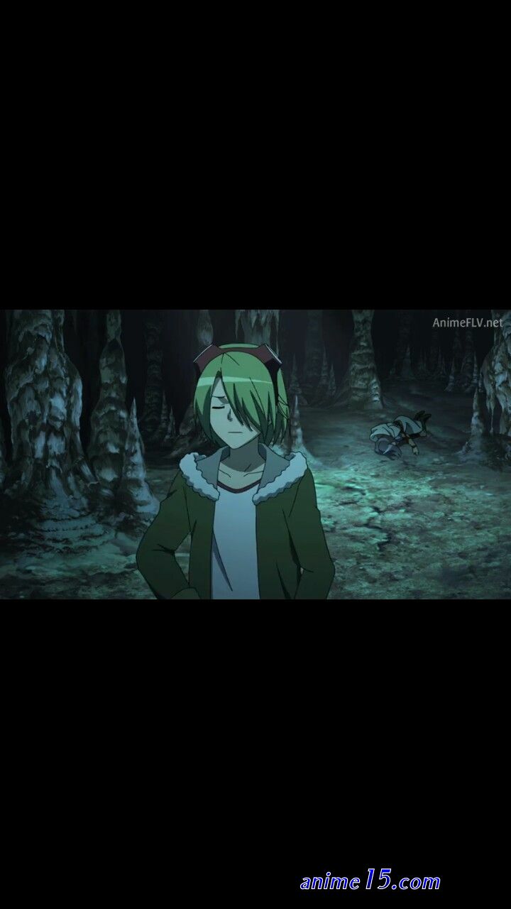 akame ga kill animefl