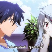 infinite stratos cap 1