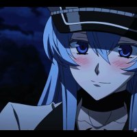 akame ga kill animefl