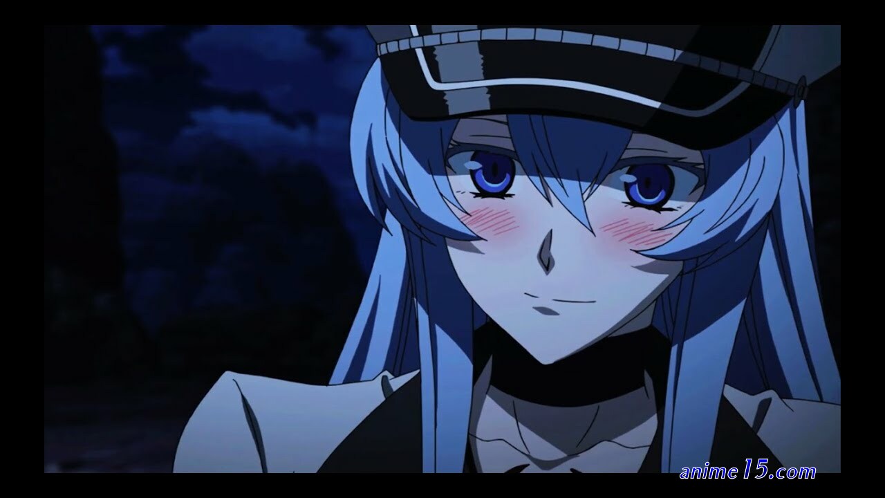 akame ga kill animefl