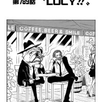 onepiece 789