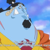 onepiece 789