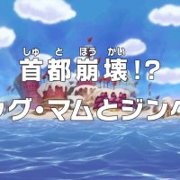 onepiece 789