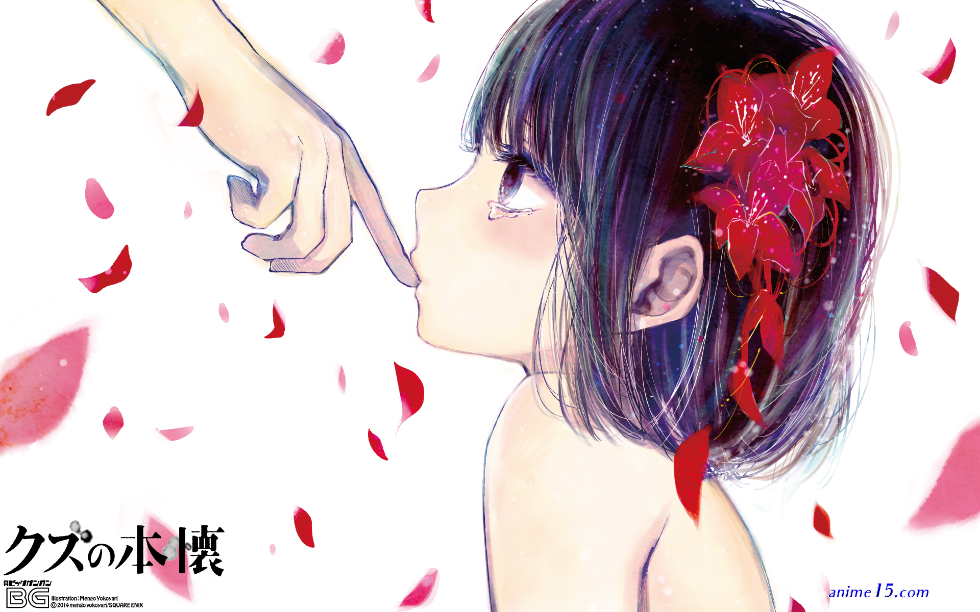 kuzo no honkai