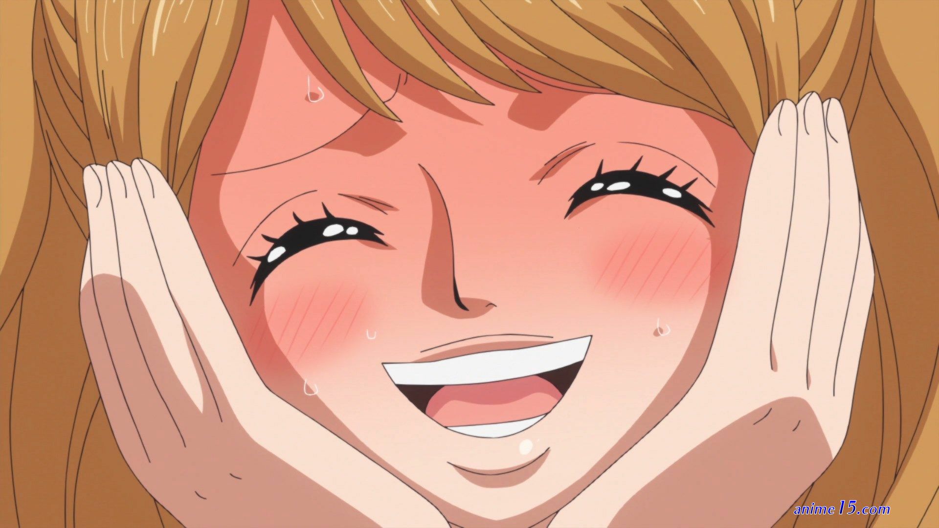 ver one piece 787