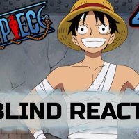 one piece 409
