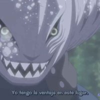 naruto episodio 207