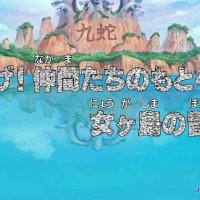 one piece 409