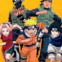naruto episodio 207
