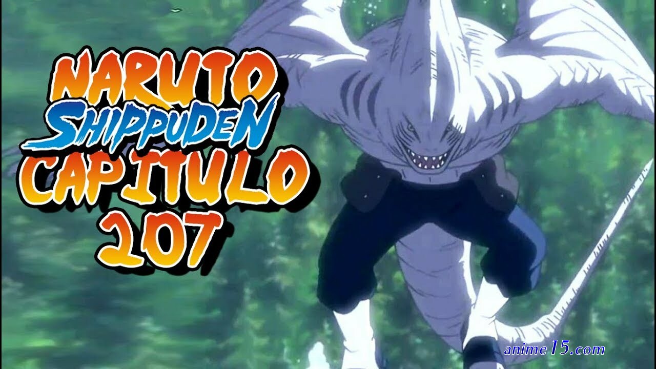 naruto episodio 207