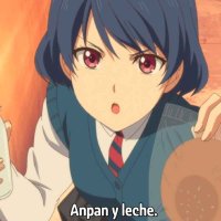 animeflv domestic na kanojo