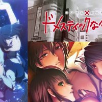 animeflv domestic na kanojo