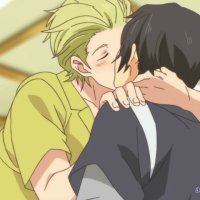 animeflv domestic na kanojo