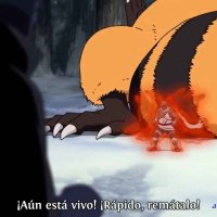 naruto episodio 207