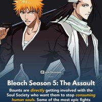 bleach anime episode 296