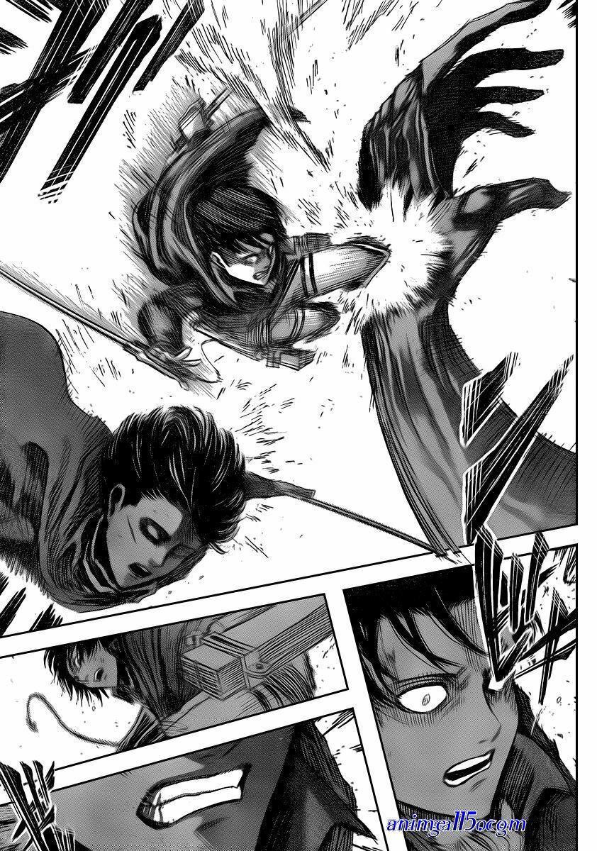 snk neko sama