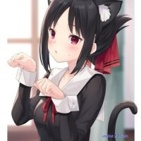 snk neko sama