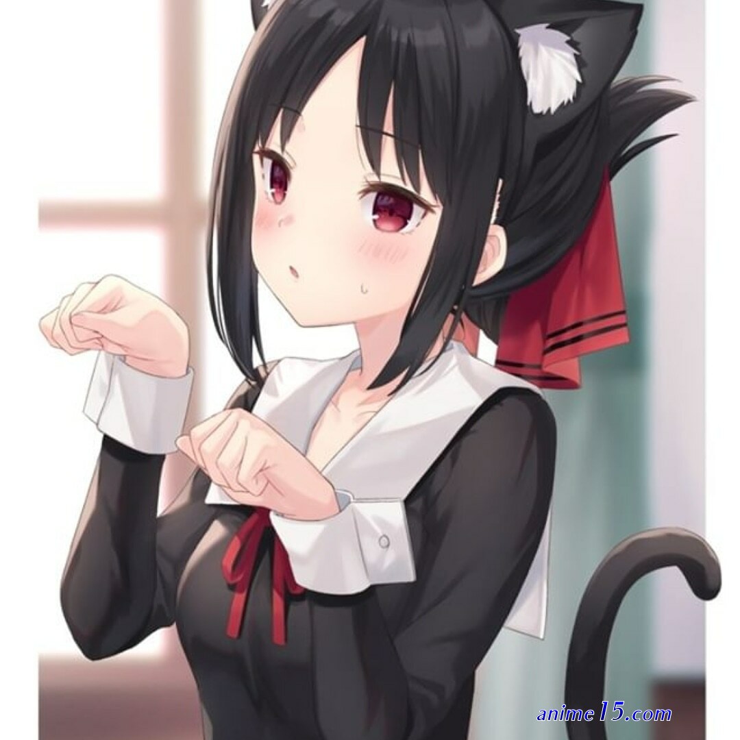 snk neko sama