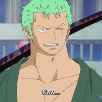 one piece 533