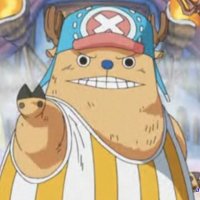 one piece 533