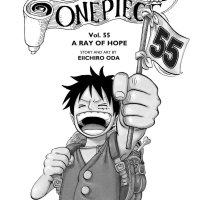 one piece 533