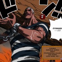 one piece 533