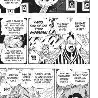 one piece 533