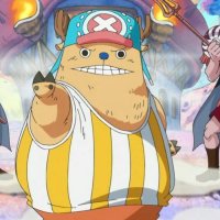 one piece 533