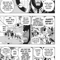 one piece 533
