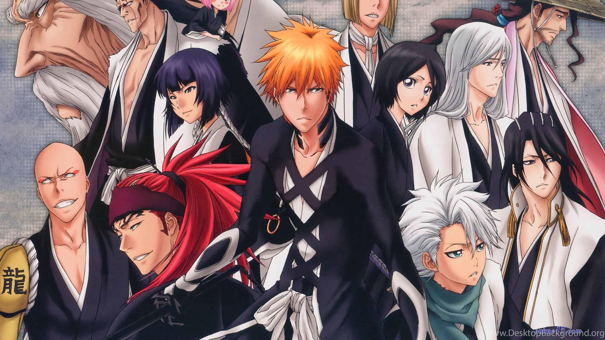 bleach episode 11 gogoanime