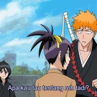 bleach subbed