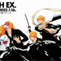 bleach subbed