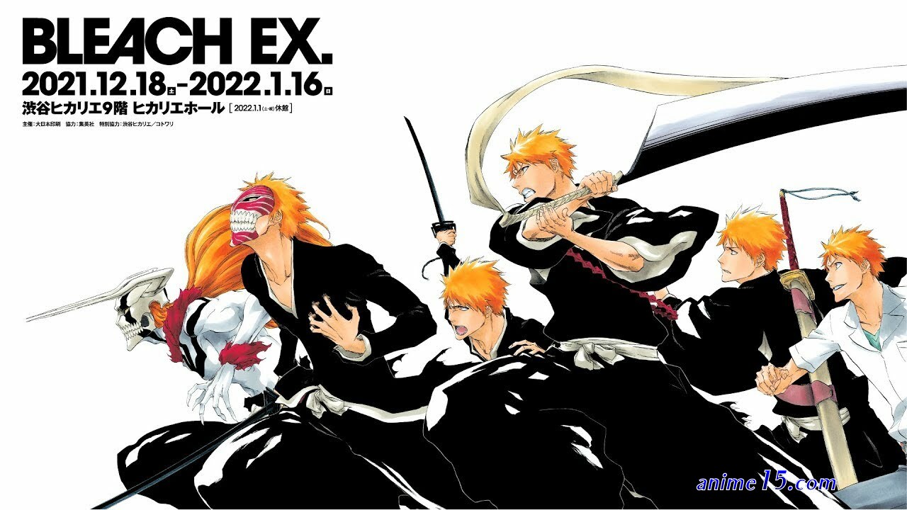 bleach subbed