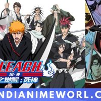 bleach subbed