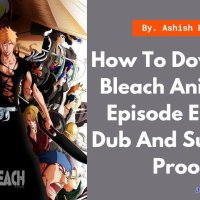 download bleach dup gogoanime