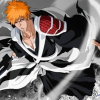 bleach episode 11 gogoanime