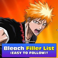 bleach episode 11 gogoanime