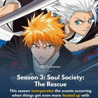 bleach episode 222